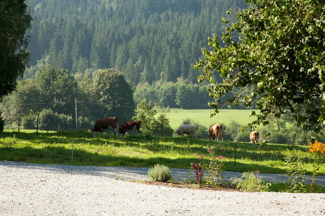 Landhotel Bayerwald Grafling Екстер'єр фото